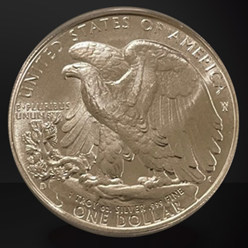 Back of The 1995 Silver Eagle Against a Black Background