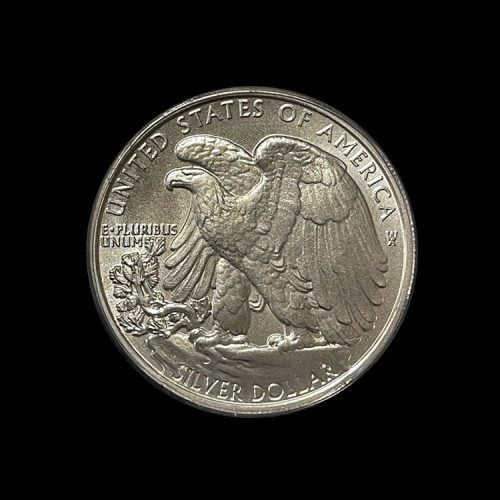 Silver Dollar Back